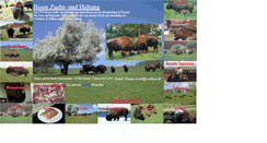 Desktop Screenshot of bisons.de