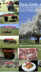 Mobile Screenshot of bisons.de