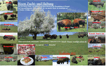 Tablet Screenshot of bisons.de